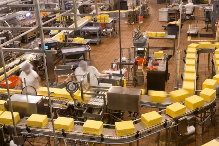 Transformando la Industria Alimentaria: La Historia de Éxito de Comercial de Campo