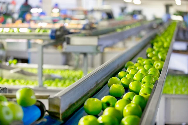 sector industria alimentaria