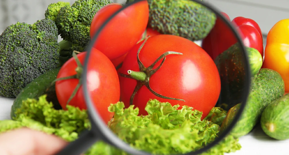 mantener segura industria alimentaria