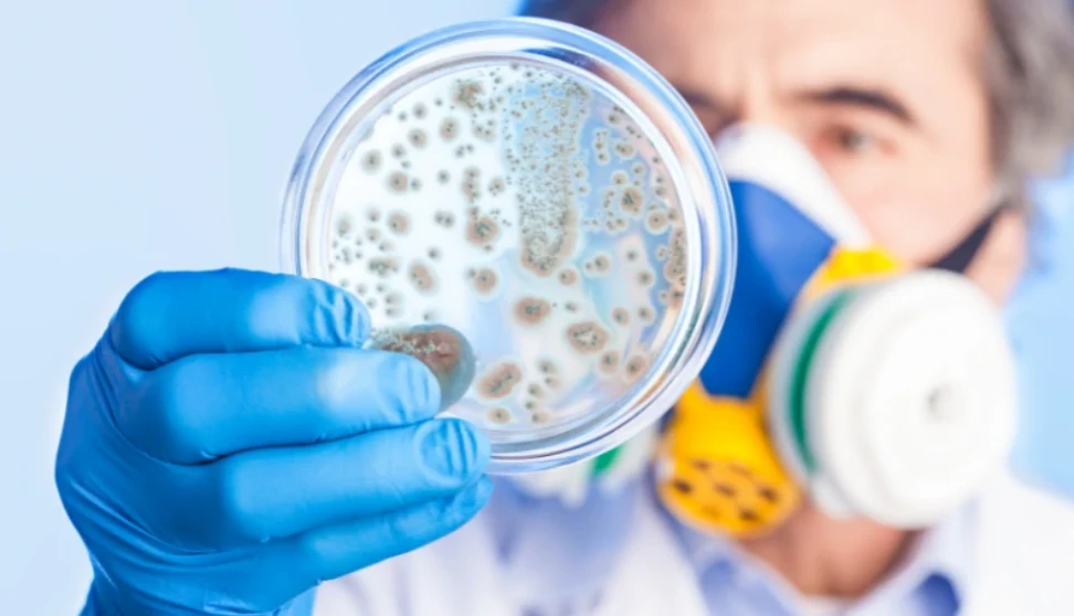 como funciona elimina agentes contaminantes aire